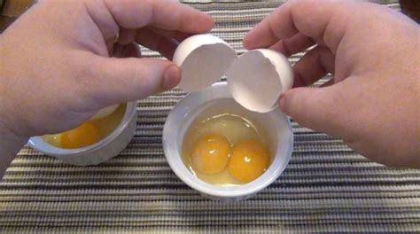 Double yolk meaning witchcdotf